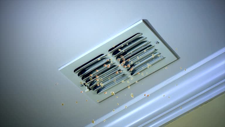 Best HVAC System Cleaning  in Bealeton, VA